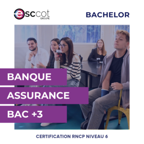 BAC+3 - Bachelor Banque / Assurance