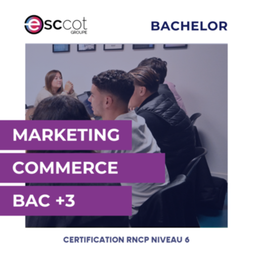 BAC+3 - Bachelor Marketing Commerce
