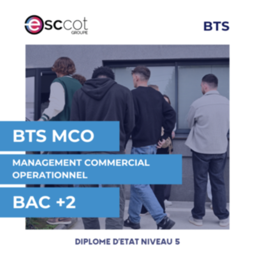 BAC+2 - BTS MCO (Management Commercial Opérationnel)