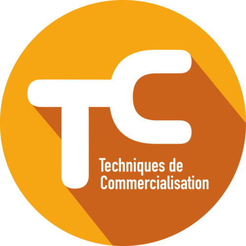 BUT Techniques de Commercialisation