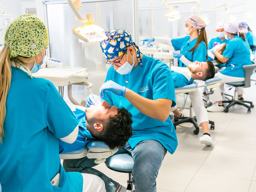 Bachelor in Dentistry