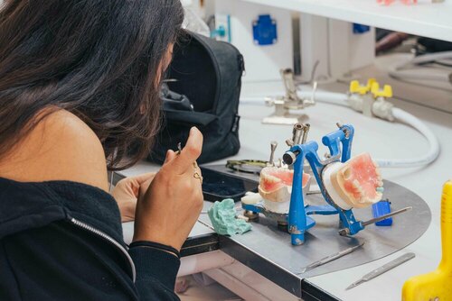 Fiches formations Ecole Dentaire Française