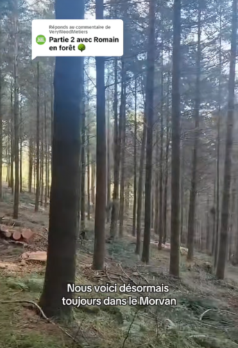 Gestion forestière avec Romain de la coopérative forestière COFORET