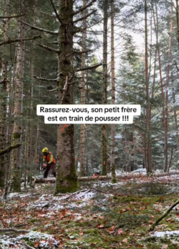 C'est impressionnant !