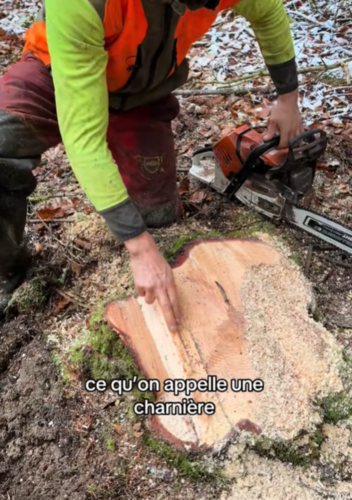 C'est technique d'être bûcherons ! 
