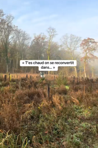 reconversion dans la filière Forêt-bois ? 