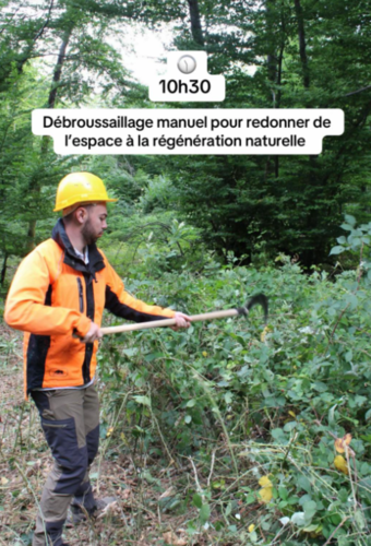 24H dans le métier de sylviculteur