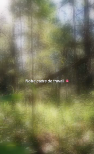 Le bureau des forestiers