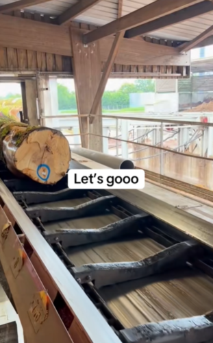 Ou va la grume en scierie ? 