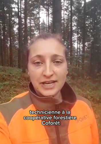 Tiffany vous emmène en forêt