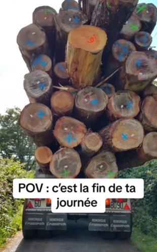 Une fin de journée dans la filière Forêt-Bois