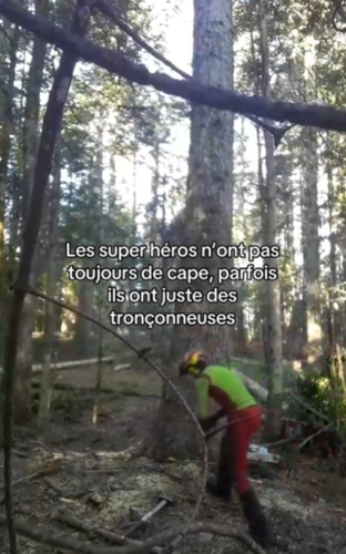 Nous n'avons que des super-héros