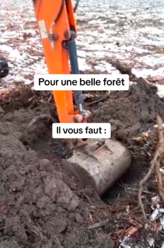 la recette magique pour une belle forêt