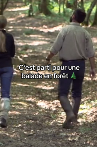 Une balade en forêt ?