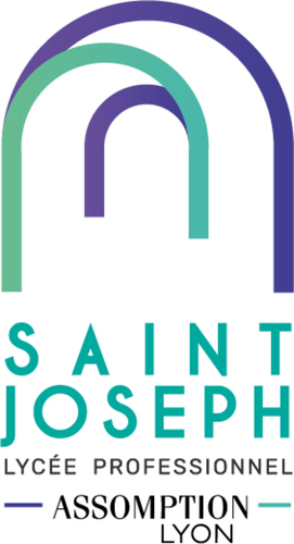 Certificat de Spécialisation SERVICE NUMERIQUE AUX ORGANISATIONS