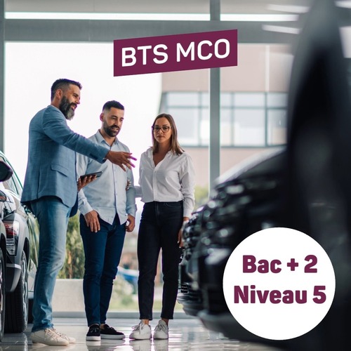 BTS Management Commercial Opérationnel (MCO)