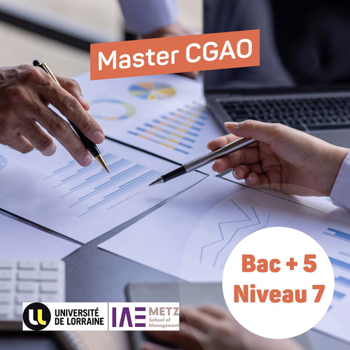 Master Contrôle de Gestion et Audit Organisationnel (CGAO)