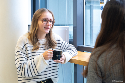 BTS Management Commercial Opérationnel