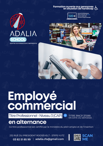 Titre Professionnel Employé Commercial