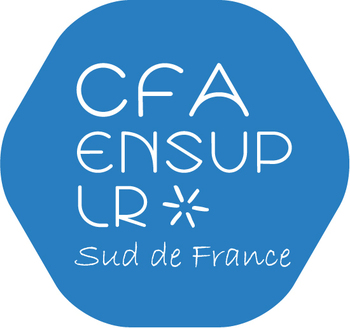 CFA ENSUP LR