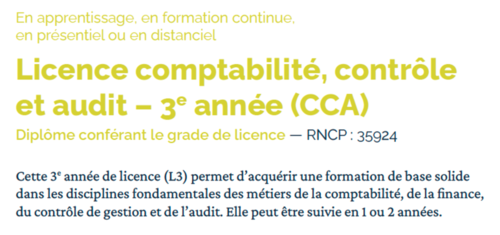 Comptabilité, contrôle et audit – 3e année - Licence en alternance