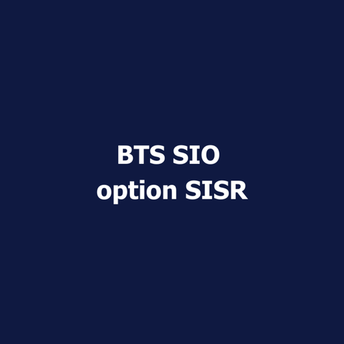 BTS SIO option SISR