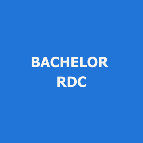 BACHELOR RESPONSABLE DU DEVELOPPEMENT COMMERCIAL