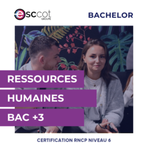 BAC+3 - Bachelor en Ressources Humaines