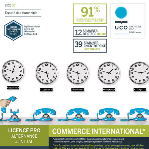 Licence pro Métiers du Commerce International