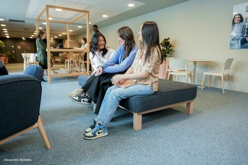 Bachelor en Management