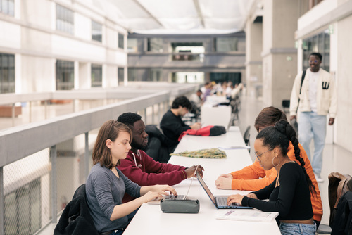 Cursus ingénieur : présentation en profondeur