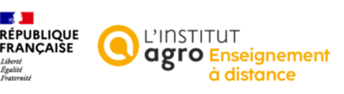 Enseignement à distance