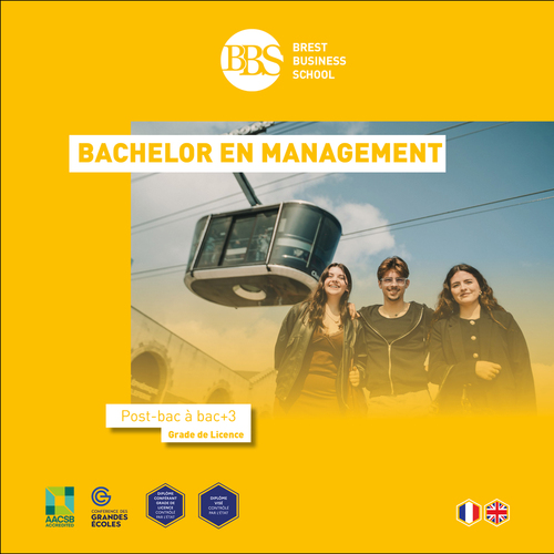 Bachelor en Management