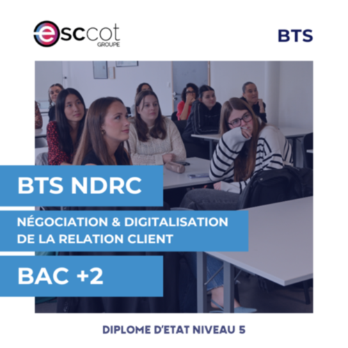 BAC+2 - BTS NDRC (Négociation et Digitalisation de la Relation Client)