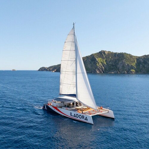 Maxi-Catamaran Iladora