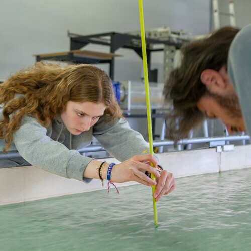 Ingénieur centralien