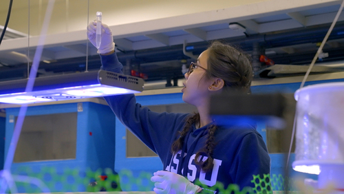 Department of Marine Biotechnology and Resources