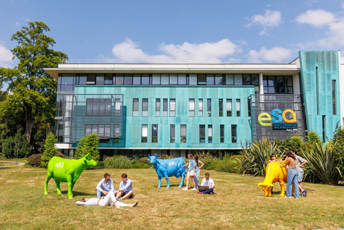 Formations : apprendre comme nulle part ailleurs 