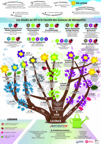 Offre de formation de la Faculté des Sciences