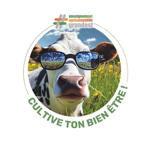 Catalogue des formations