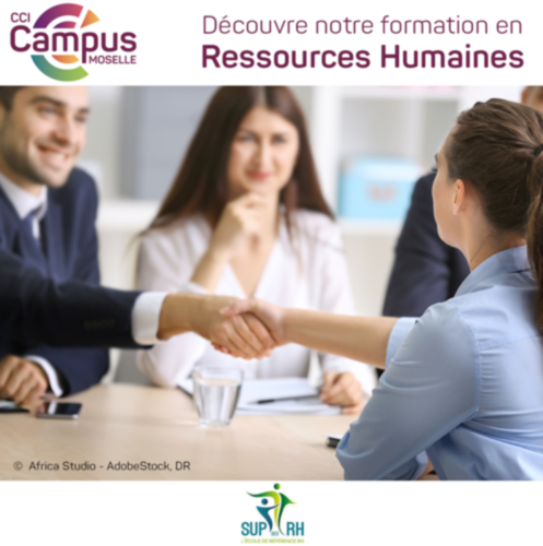 Rejoins le Bachelor Chargé(e) des ressources humaines proposé par CCI Campus Moselle en partenariat avec Sup des RH !