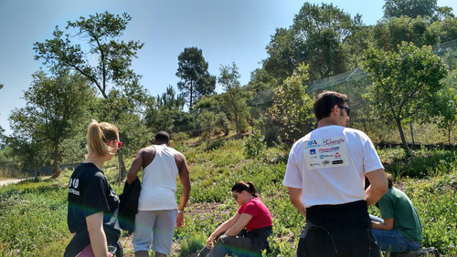 ISEQ - Les projets Humanitaires