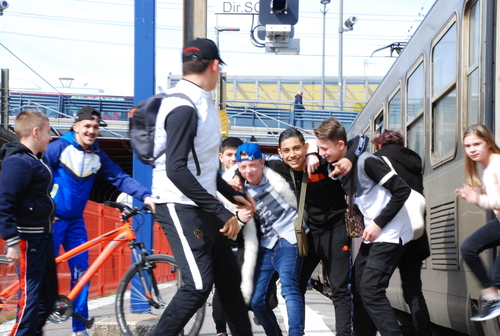 Diplôme d’État de la Jeunesse, de l’Éducation Populaire et du Sport (DEJEPS), Animation Sociale - Niveau 5