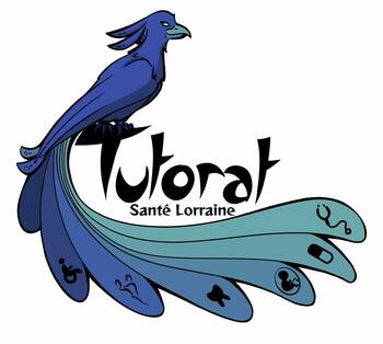 marc.furmanski@univ-lorraine.fr