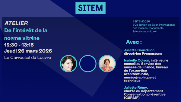 De l’intérêt de la norme vitrine