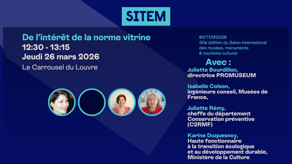 De l’intérêt de la norme vitrine