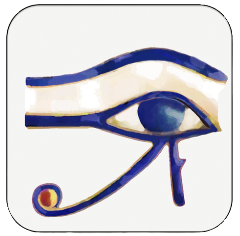 HORUS CONDITION REPORT