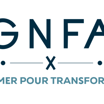 castanies@gnfa-auto.fr