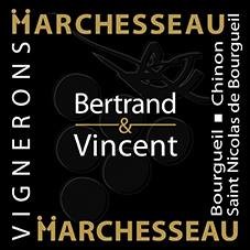 Vincent Marchesseau