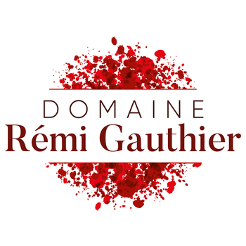 Rémi Gauthier